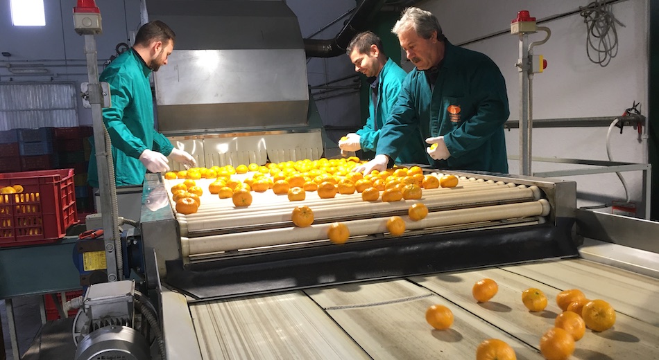 Blockchain e turismo relazionale nel Social Farming 3 del Distretto Agrumi di Sicilia