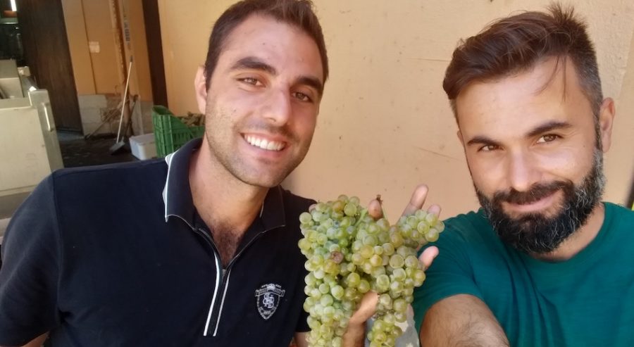Di Bella Vini