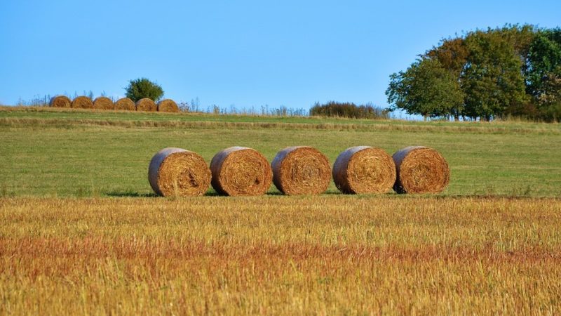 Agricoltori indignati de “La Terra è Vita”, assemblea a Poggioreale