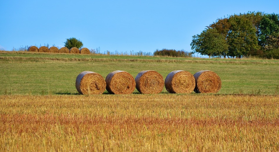 Agricoltori indignati de “La Terra è Vita”, assemblea a Poggioreale