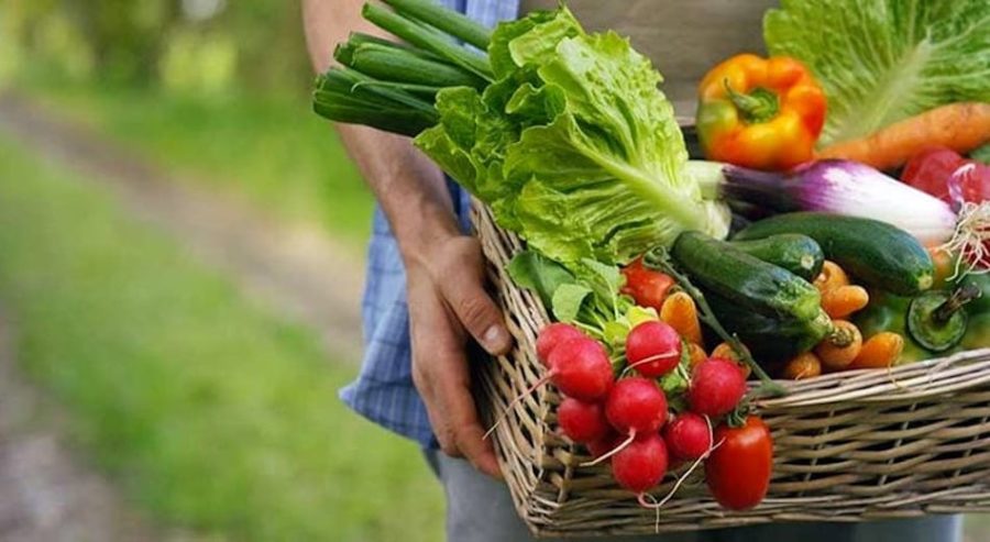 biologico biodiversità