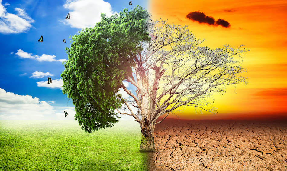 Cambiamenti climatici, pronte le linee guida per adattare l’agricoltura