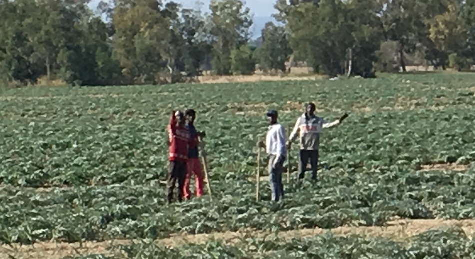 Lotta al caporalato,  protocollo d’intesa tra Confagricoltura e Prefettura di Ragusa