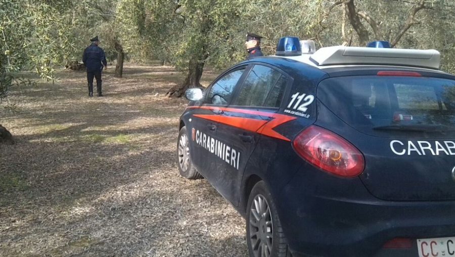 criminalità nelle campagne