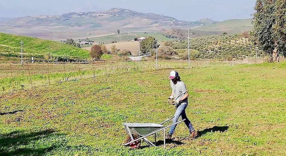 Nuovi Fattori di Successo, aperta la selezione dei giovani imprenditori agricoli