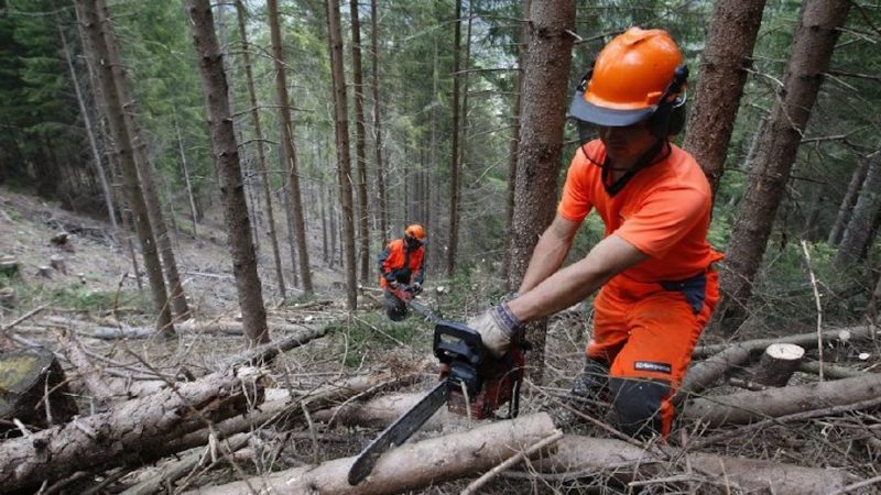 Forestali, delegato Edy Bandiera al tavolo per il rinnovo del contratto