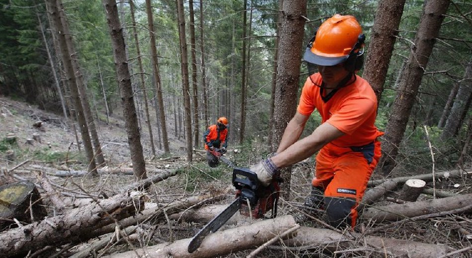 Forestali, delegato Edy Bandiera al tavolo per il rinnovo del contratto