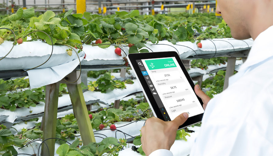 ricerca e innovazione