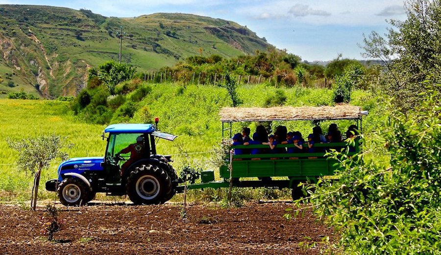 Gal Etna Sud, aiuti a forfait per start-up extra-agricole di giovani e donne