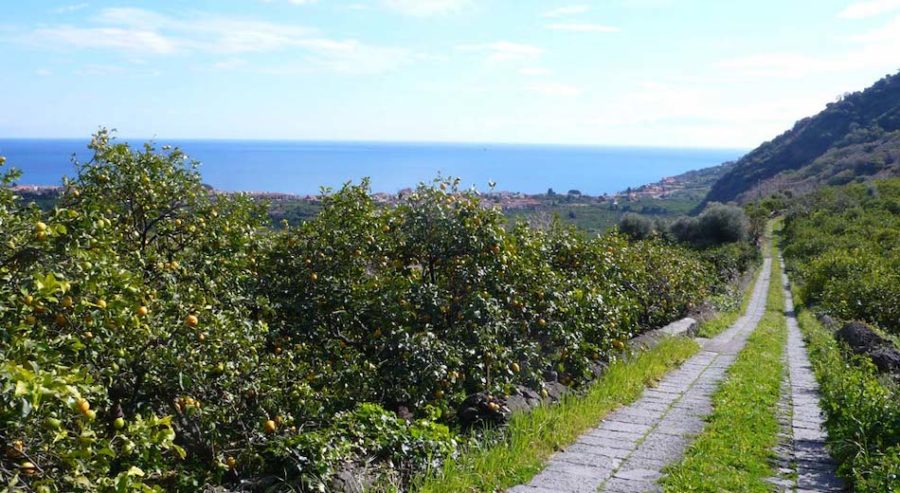 bandi Gal Terre di Aci