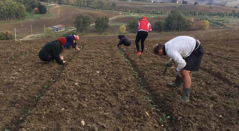 Sgravi contributivi ai giovani e mutui agevolati alle imprenditrici agricole