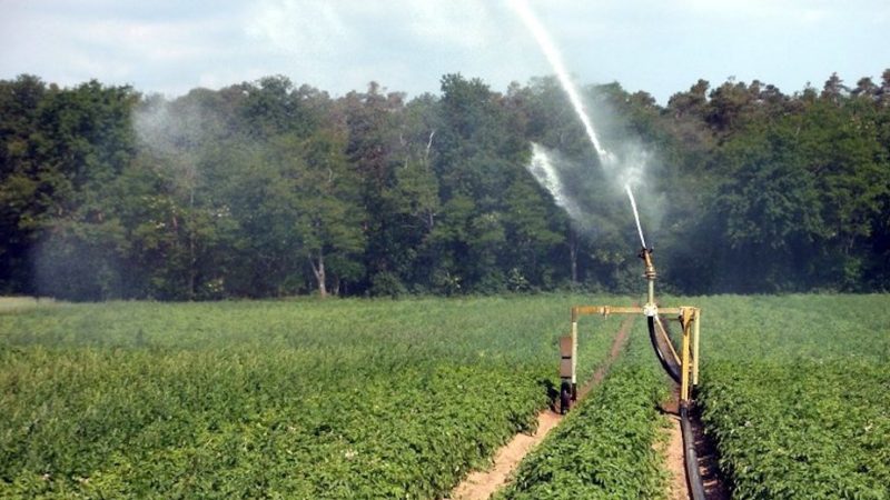 Consorzi di Bonifica, aumentano i ruoli ma l’acqua resta un miraggio