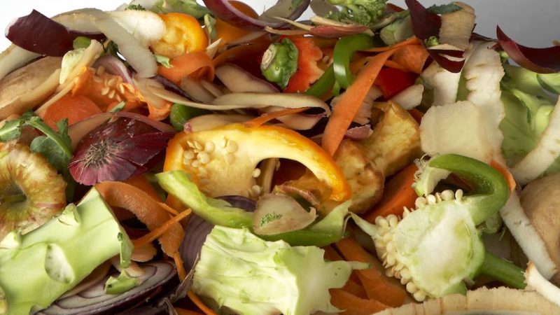 Smart Up, progetto di UniCt per ricavare farmaci dagli scarti agroalimentari