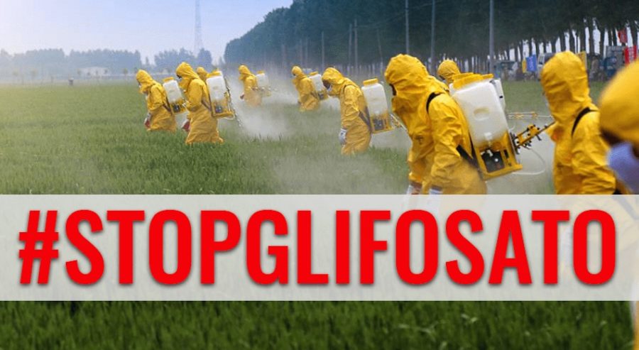 glifosato
