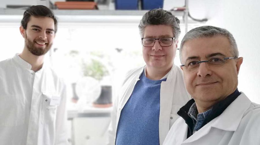 bioclimatologia e insetti nocivi