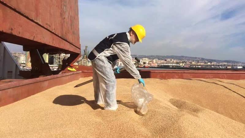 Attracca a Catania un’altra nave carica di grano canadese. Al via i controlli