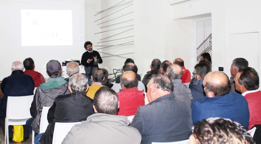 formazione