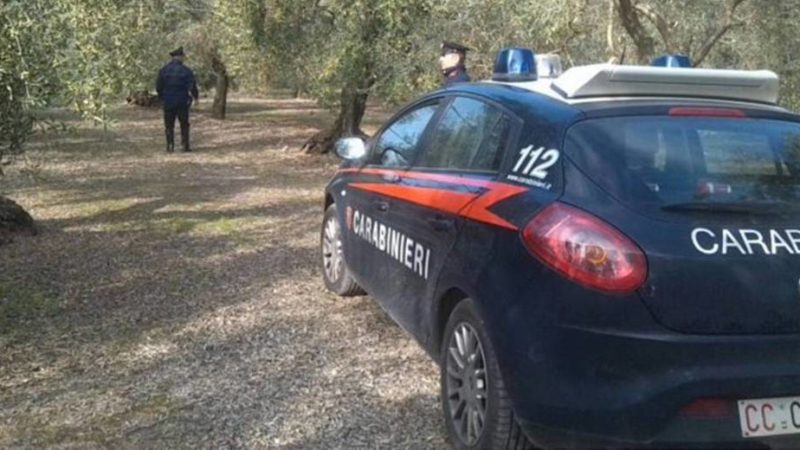 Dopo i morti nel Catanese, Sos di Coldiretti: ogni anno furti per 300 milioni