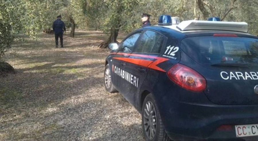 furti nei campi