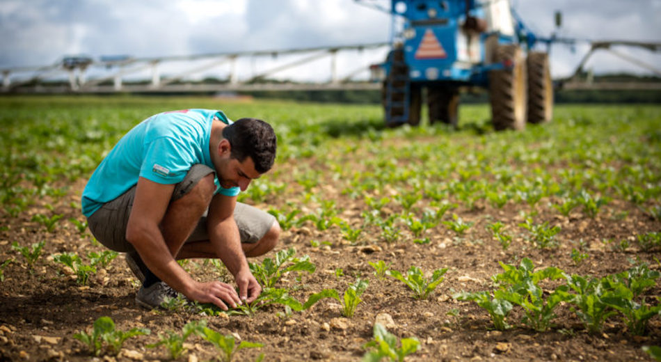 Consulenza aziendale, Timac Agro cerca in Sicilia agronomi e periti agrari