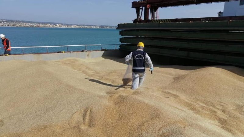 Grano dalla Francia a Pozzallo. Francese originale o da triangolazione?