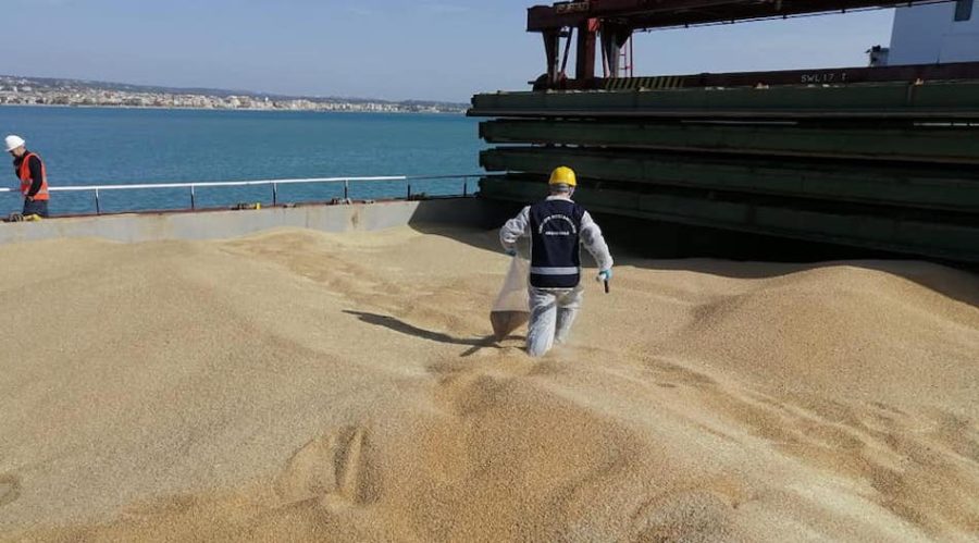 grano francese a Pozzallo