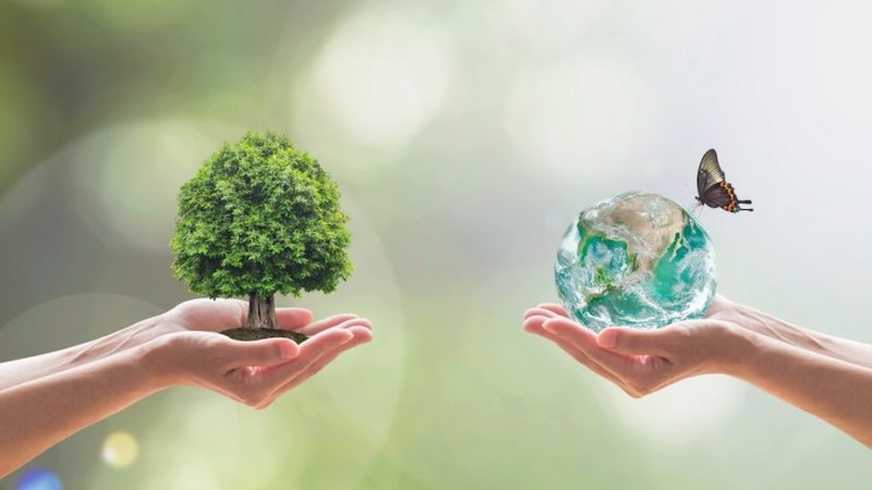 Nei prossimi anni un posto di lavoro su 5 sarà creato dal New Green Deal