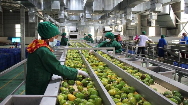 Agroalimentare e campagne: queste le regole per chi continua a lavorare