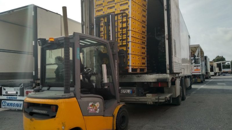 Mercato di Vittoria, produttori e trasportatori in guerra sugli orari di apertura