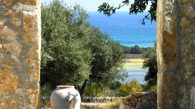 Confagri Sicilia: dal Coronavirus una mazzata per agriturismo e ortofrutta