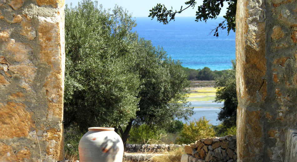 Confagri Sicilia: dal Coronavirus una mazzata per agriturismo e ortofrutta