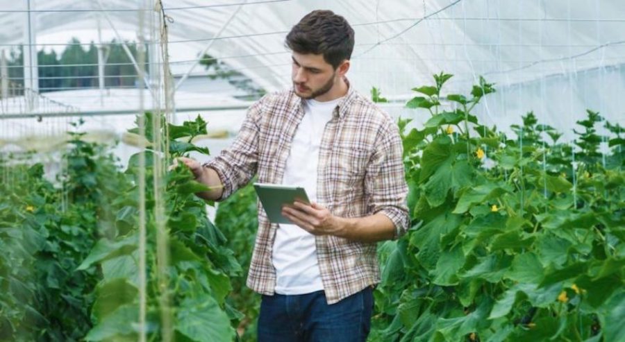 agronomi