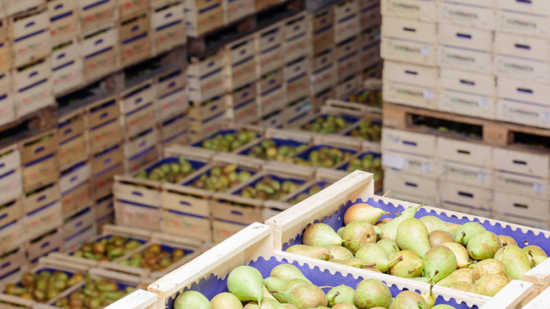 Agromafie non conosce crisi: il business tocca 24,5 miliardi di euro