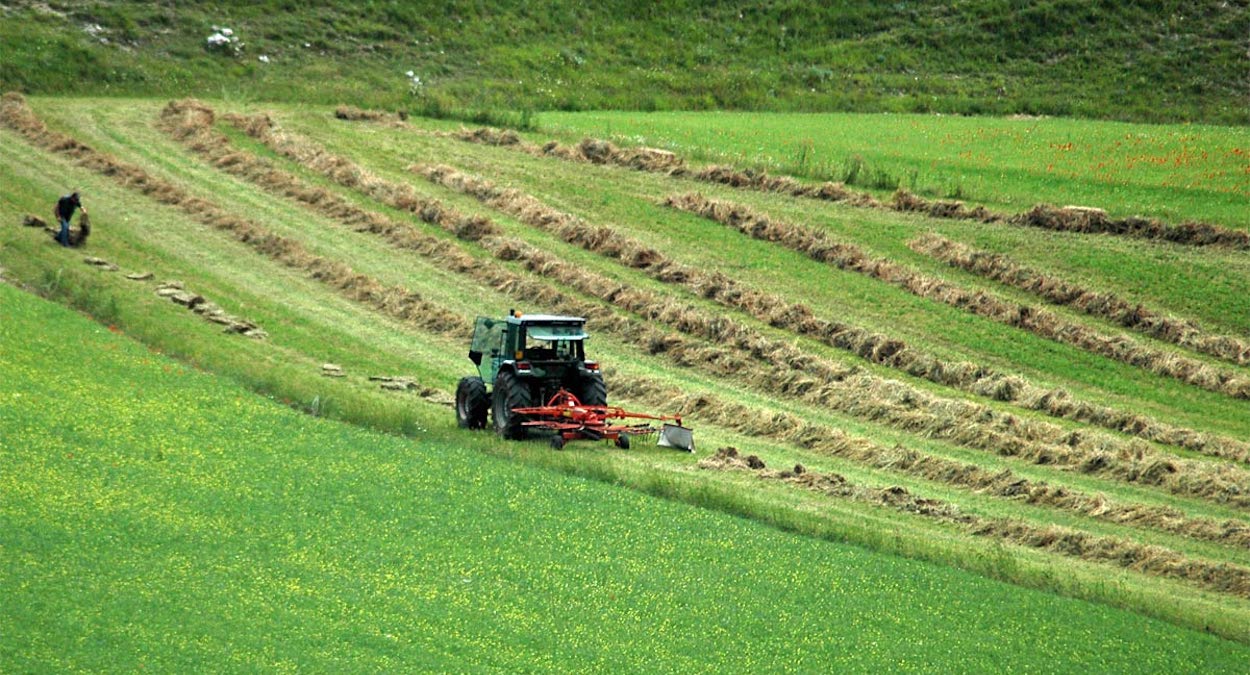 Agricoltura, fino al 6° grado di parentela la prestazione può essere gratuita