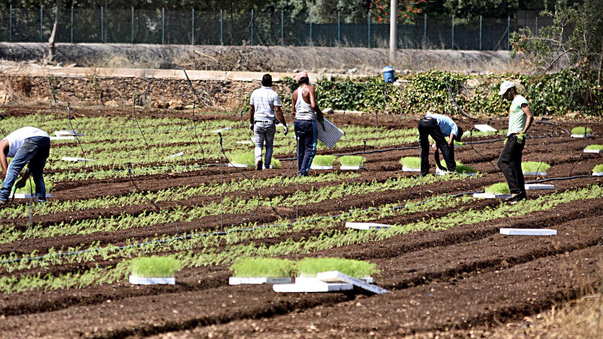 Confeuro: “Bonus Cura Italia agli operai? Diamolo con la ds agricola”