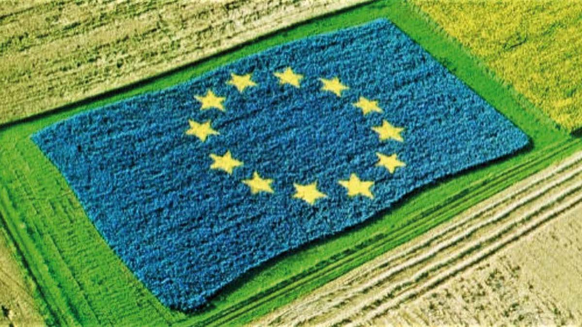 Domanda unica e Psr a superficie: ecco, in tre scenari, cosa cambierà