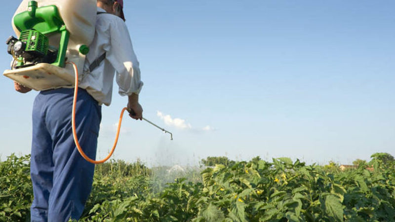 Patentino fitosanitario, è allarme scadenza. Ma in Sicilia c’è già la proroga