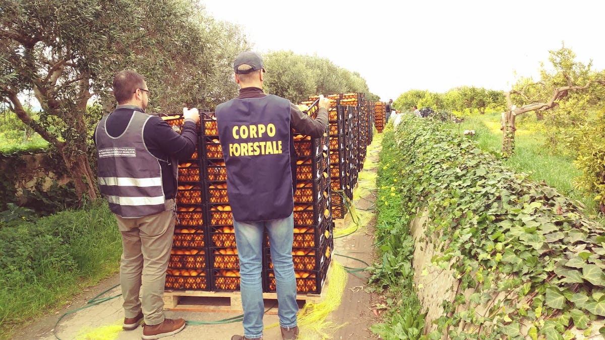Frodi alimentari, la guerra di Musumeci inizia con 50mila euro di sanzioni
