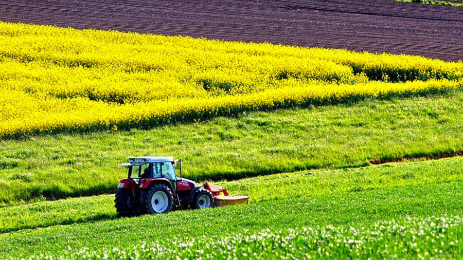 agricoltura attività in calo