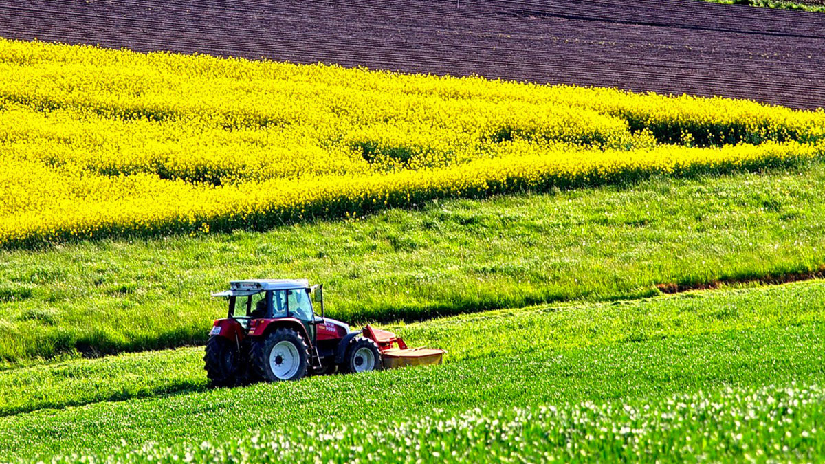 Crisi Coronavirus, attività in calo per il 57% delle aziende agricole