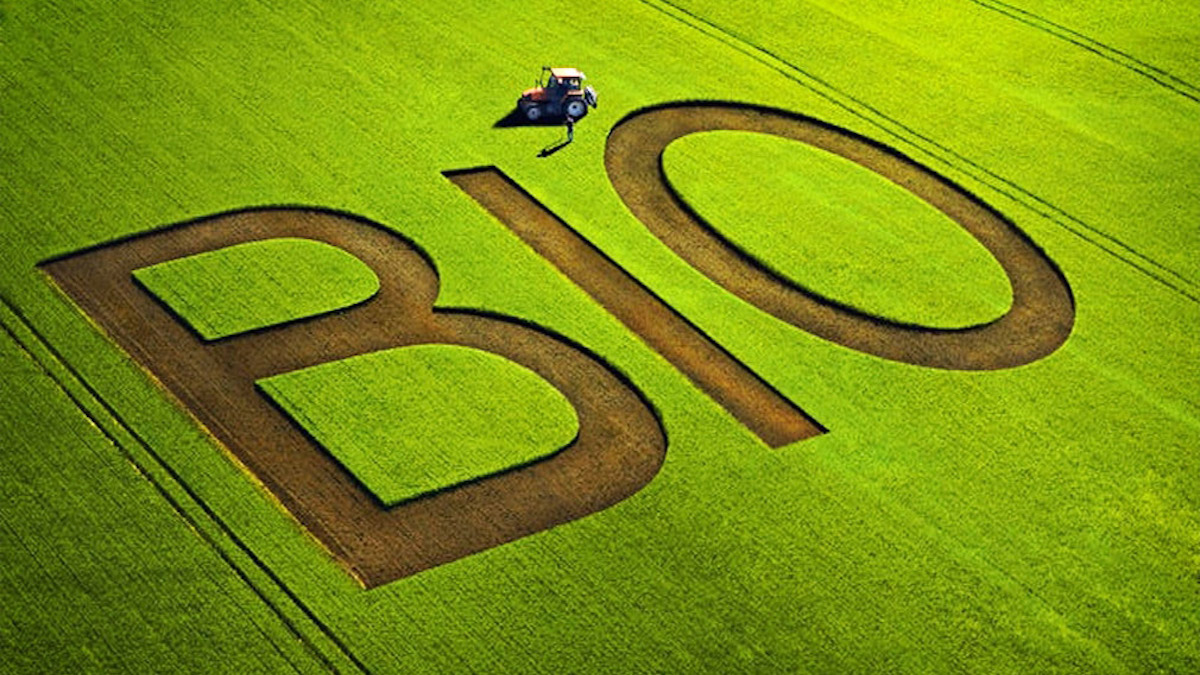 Biologico, due anni in più di premi per i beneficiari del  bando 2015