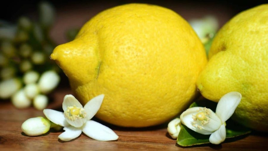 limoni
