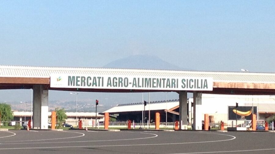 Maas Catania