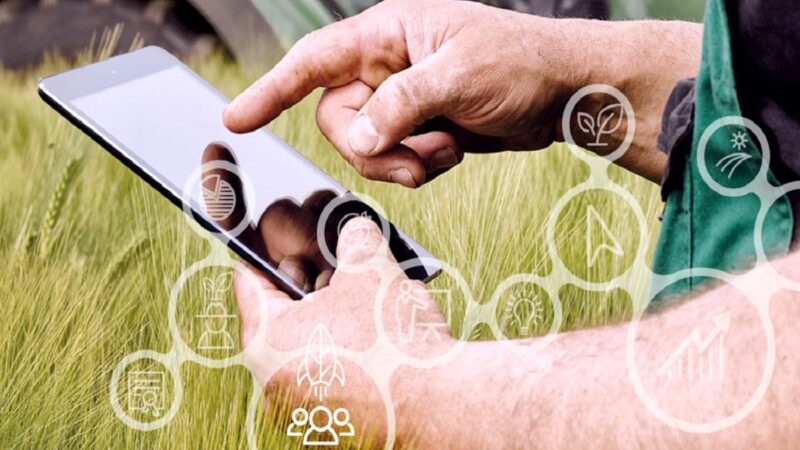 Agricoltura 4.0, a Comiso un progetto per gestire da remoto colture e serre
