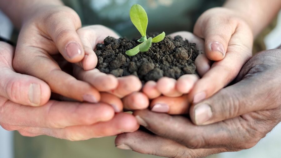agricoltura sociale
