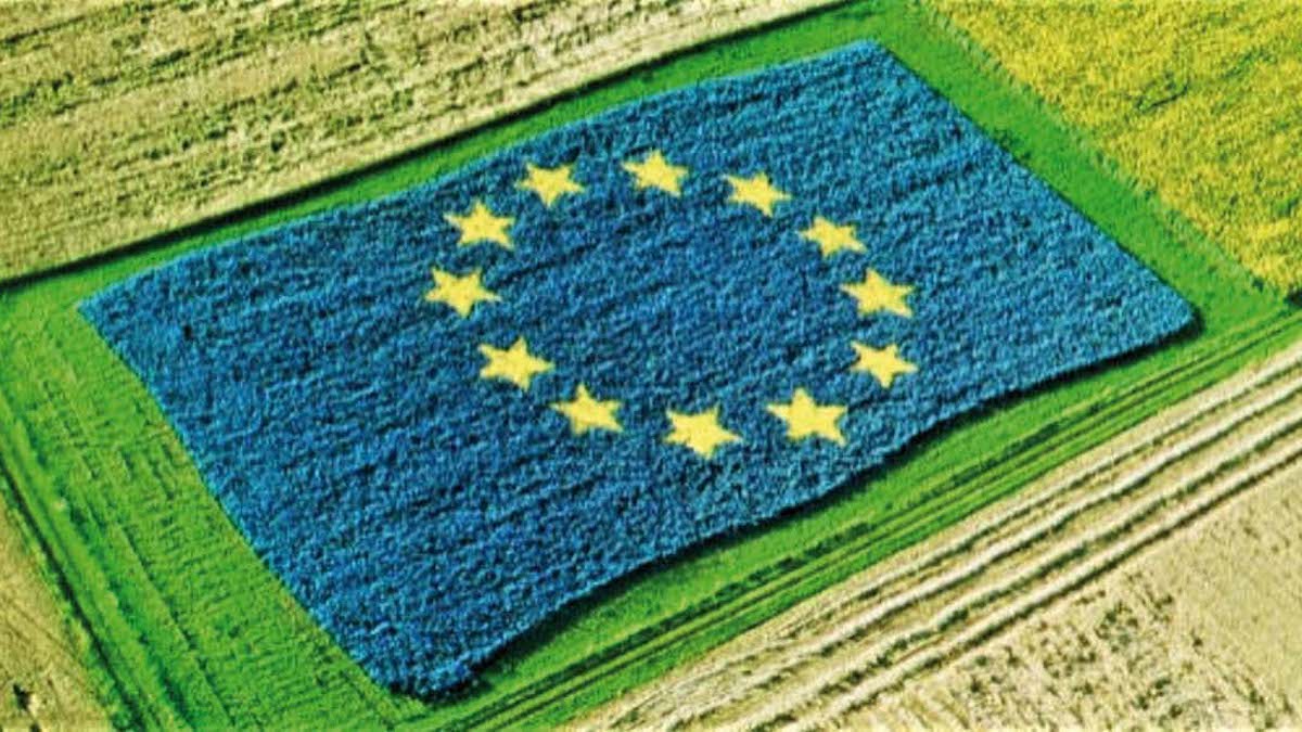 Premi Pac, al via le domande per l’anticipazione del 70 per cento