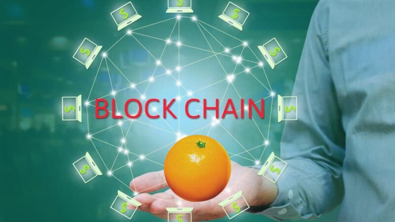 Blockchain e filiera agrumicola, dal Distretto Agrumi un webinar gratuito