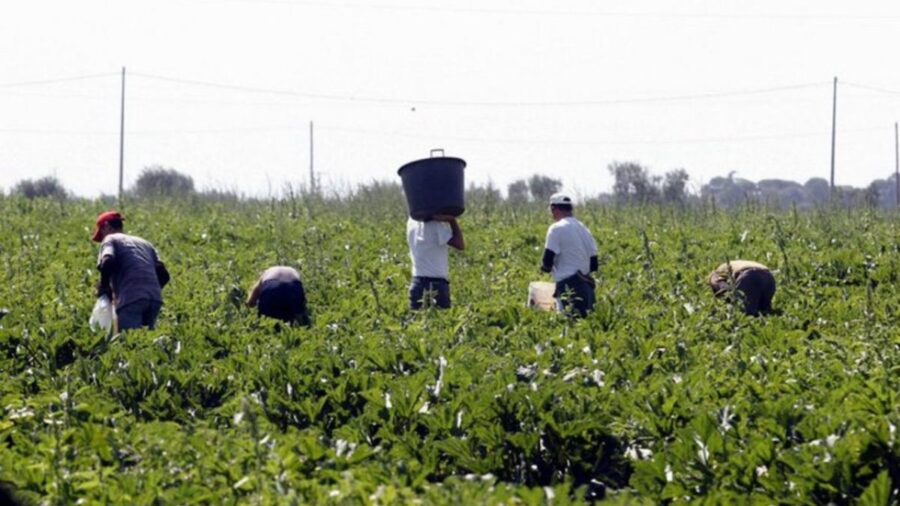 sanatoria migranti