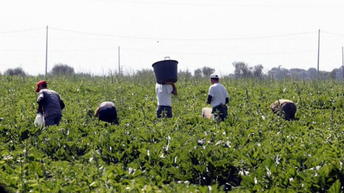 Sanatoria utile solo al racket, un permesso falso ora costa cinquemila euro