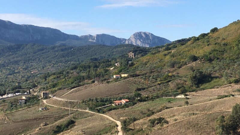 Addio al Censimento dell’agricoltura decennale, l’ultimo sarà nel 2021
